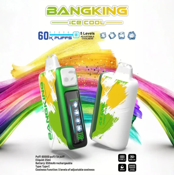 Bang-King-Ice-Cool-60000-夏日飛濺.webp Bang King 60000 拋棄式電子煙|LED 螢幕顯示 × 五檔冰度調節|超長續航大容量・多款口味